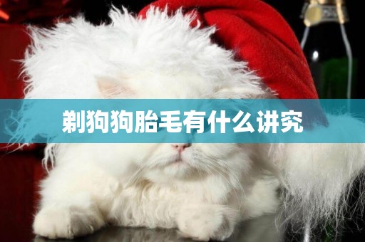 剃狗狗胎毛有什么講究