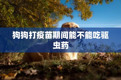 狗狗打疫苗期間能不能吃驅蟲藥