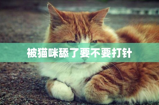 被貓咪舔了要不要打針