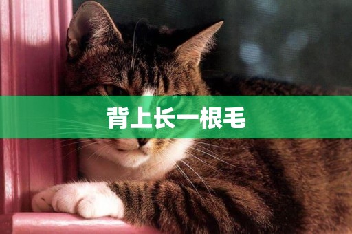 背上長一根毛