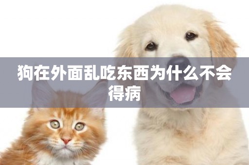 狗在外面亂吃東西為什么不會得病