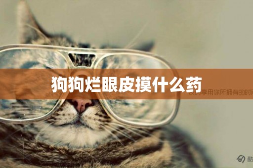 狗狗爛眼皮摸什么藥