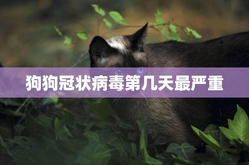 狗狗冠狀病毒第幾天最嚴重
