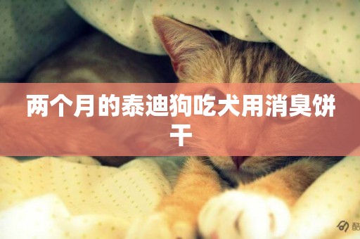兩個月的泰迪狗吃犬用消臭餅干