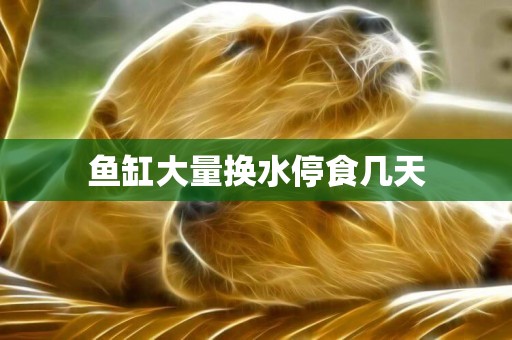 魚缸大量換水停食幾天