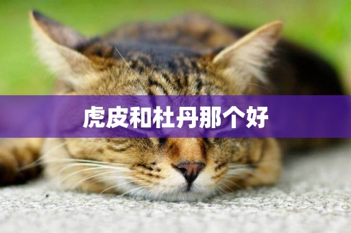 虎皮和杜丹那個好
