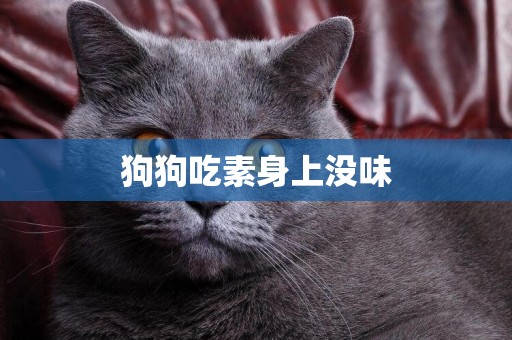 狗狗吃素身上沒味