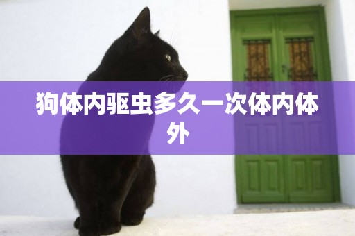 狗體內驅蟲多久一次體內體外