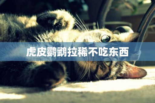 虎皮鸚鵡拉稀不吃東西