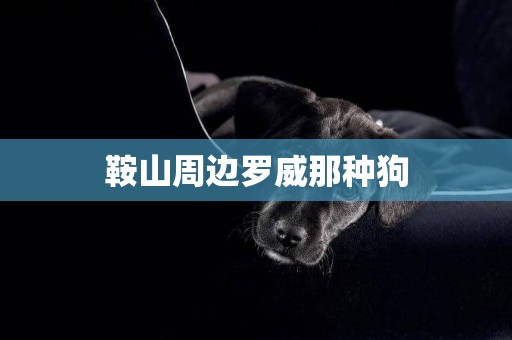 鞍山周邊羅威那種狗