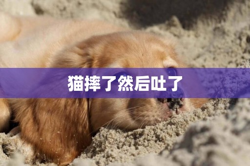 貓摔了然后吐了
