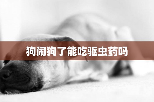 狗鬧狗了能吃驅蟲藥嗎