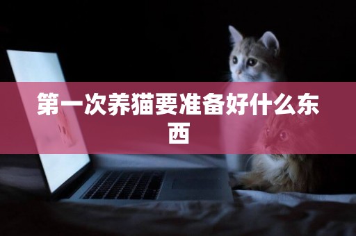 第一次養貓要準備好什么東西