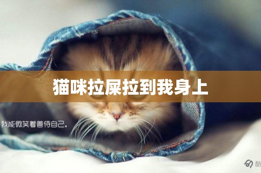 貓咪拉屎拉到我身上