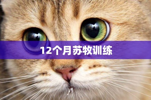 12個月蘇牧訓練