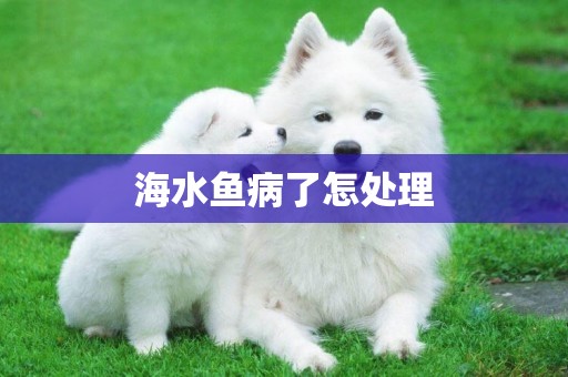 海水魚病了怎處理