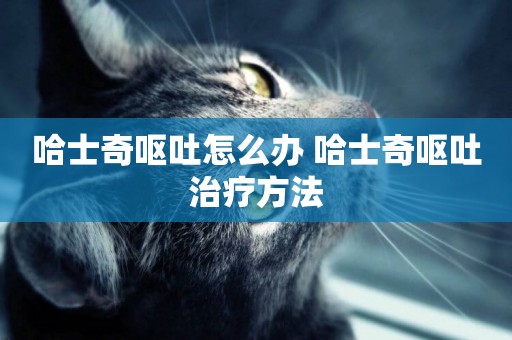 哈士奇嘔吐怎么辦 哈士奇嘔吐治療方法