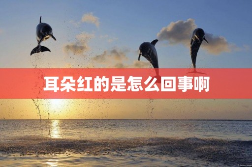 耳朵紅的是怎么回事啊