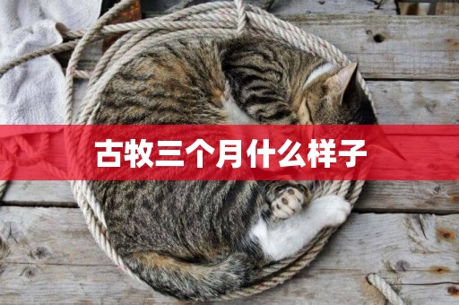 古牧三個月什么樣子