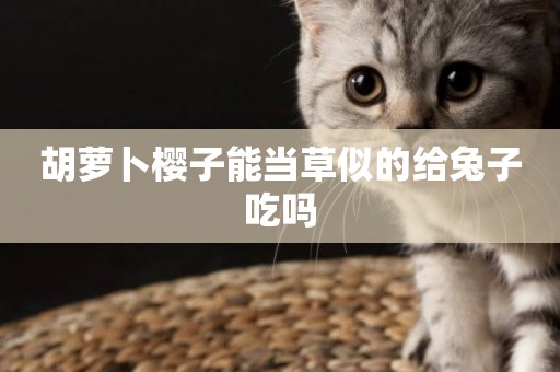 胡蘿卜櫻子能當草似的給兔子吃嗎