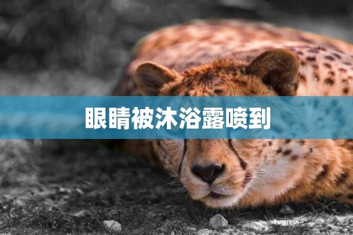 眼睛被沐浴露噴到