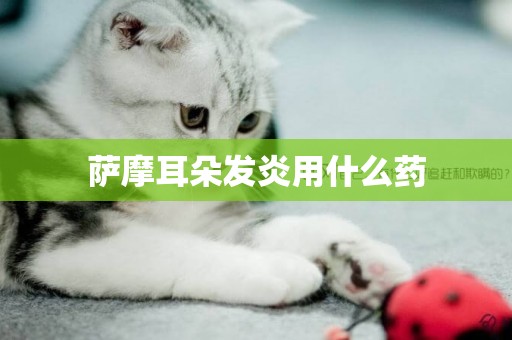薩摩耳朵發炎用什么藥
