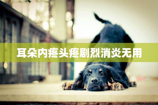 耳朵內疼頭疼劇烈消炎無用