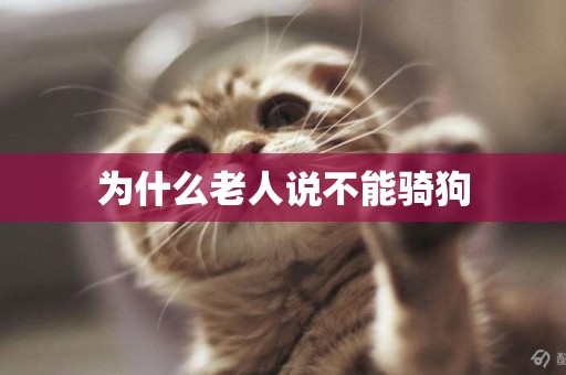 為什么老人說不能騎狗