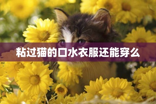 粘過貓的口水衣服還能穿么