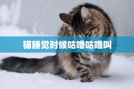 貓睡覺時候咕嚕咕嚕叫