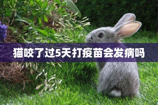 貓咬了過5天打疫苗會發病嗎