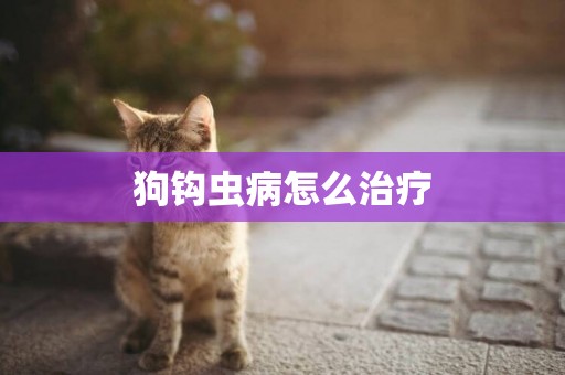 狗鉤蟲病怎么治療