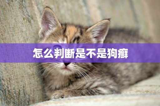 怎么判斷是不是狗癬
