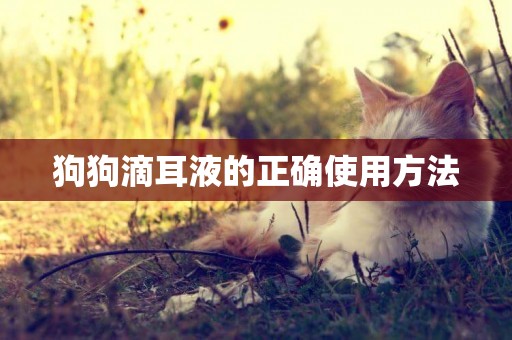 狗狗滴耳液的正確使用方法