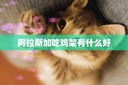 阿拉斯加吃雞架有什么好