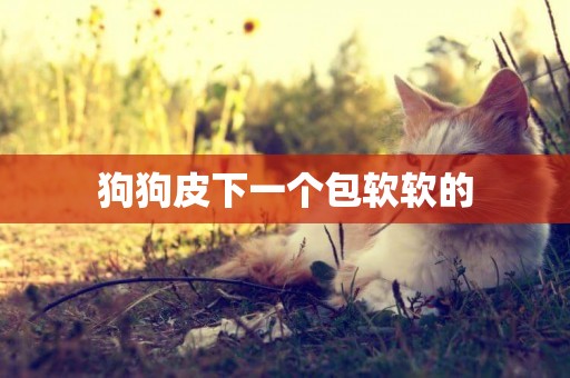狗狗皮下一個包軟軟的