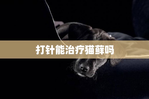打針能治療貓蘚嗎