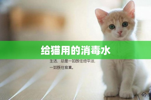 給貓用的消毒水