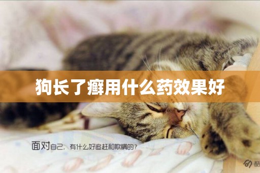 狗長了癬用什么藥效果好