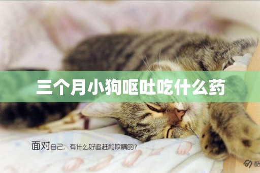 三個月小狗嘔吐吃什么藥