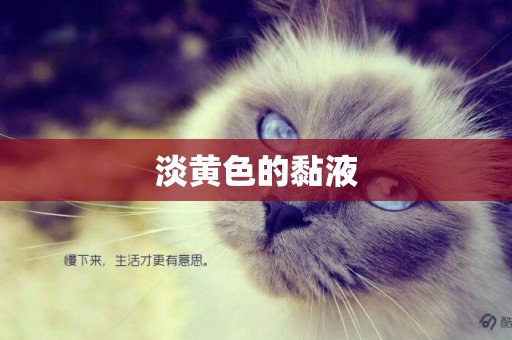 淡黃色的黏液