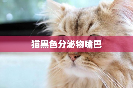 貓黑色分泌物嘴巴