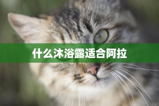 什么沐浴露適合阿拉