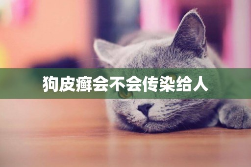 狗皮癬會不會傳染給人