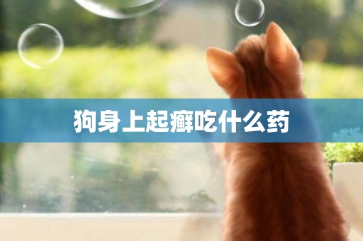 狗身上起癬吃什么藥