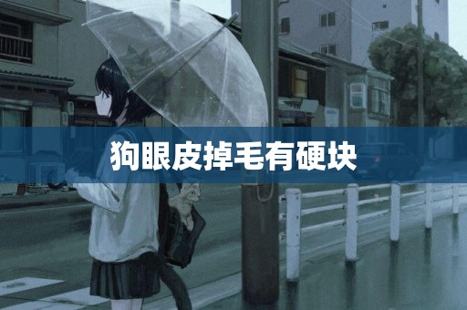 狗眼皮掉毛有硬塊
