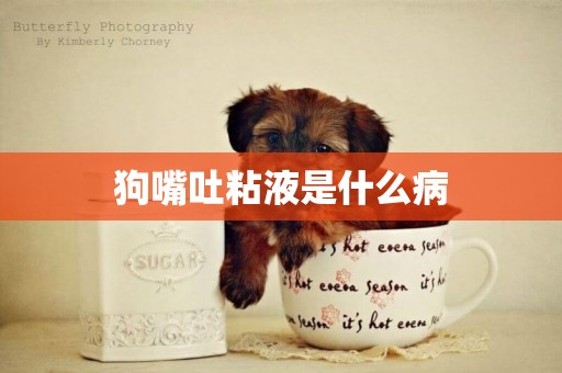 狗嘴吐粘液是什么病