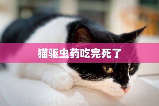 貓驅蟲藥吃完死了