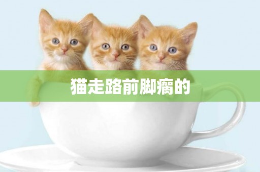 貓走路前腳瘸的