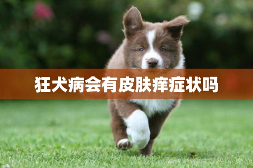 狂犬病會有皮膚癢癥狀嗎
